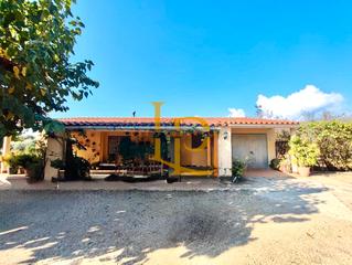 Maison  Carretera d'alcover. Bonita casa con terreno, piscina, casa auxiliar y un gran olivar