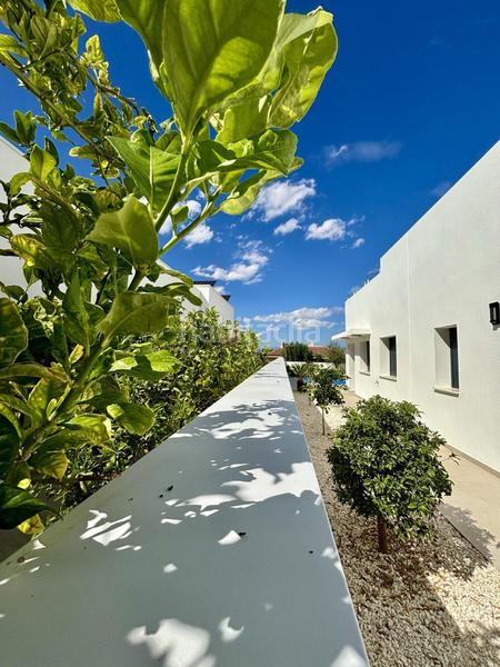 Foto 65ea6aa5-ddb4-488a-8b7a-18d7c826f4a6. Chalet villas de nueva construcción en Benijófar