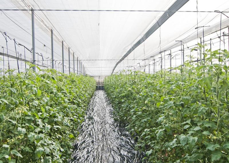 Foto 05173443-26a3-4dc0-a550-ffc28a162ec9. Wohngrundstück in Los Tablones - La Garnatilla Motril