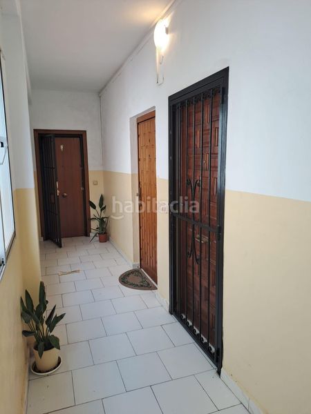 Foto ea9d05b9-fc80-4e41-8759-665d1d533be8. Estudi a El Molino Torrevieja