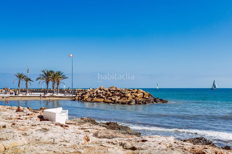 Foto 002c5497-ee65-40fb-a57d-46d002f7e940. Pis a moriones 47 a Antonio Machado Torrevieja