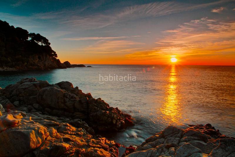 Foto c7fd67cc-e196-49af-955b-21e9dad0acd8. Geschäftsraum in carrer víctor balaguer 5 in Roca Grossa Lloret de Mar