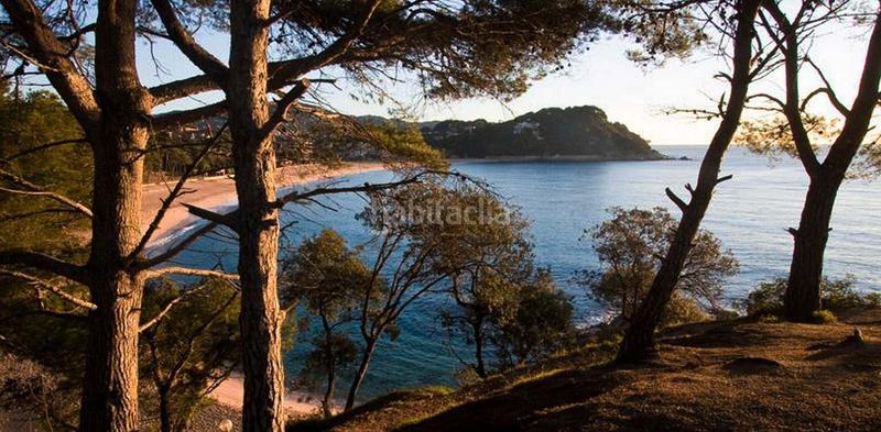 Foto 8f98bb8e-b63c-4b15-8f0a-31fe5f335947. Planta baixa a avinguda vila de blanes 78 a Fenals Lloret de Mar