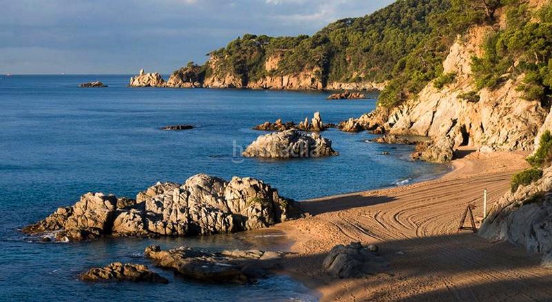 Foto bf87af1e-a07c-4d21-9cca-4b8b512f1c37. Planta baixa a avinguda vila de blanes 78 a Fenals Lloret de Mar