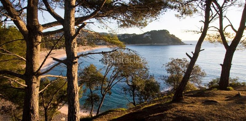 Foto ba8fc4df-703c-4b41-b97a-532de3aba175. Pis a carrer de francesc pi i margall 5 a Fenals Lloret de Mar