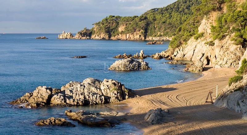 Foto c05f6277-572a-44fd-b111-11e99f456400. Pis a carrer de francesc pi i margall 5 a Fenals Lloret de Mar