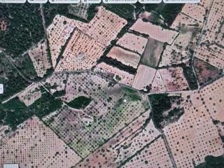 Rural plot  Sa plaça