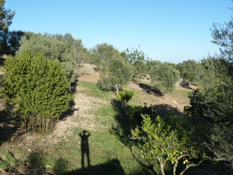 Foto f9bd9842-18b8-42de-8582-3d40650fe8ae. Casa en Algaida