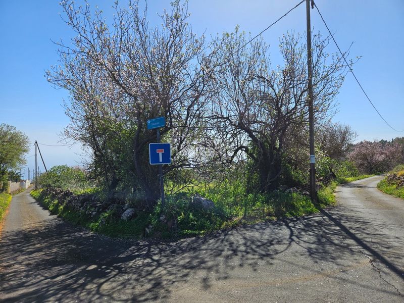 Foto 10f505ce-4e8c-4e38-b5f8-0b207d941345. Terreny residencial a La Esperanza - Llano del Moro Rosario (El)