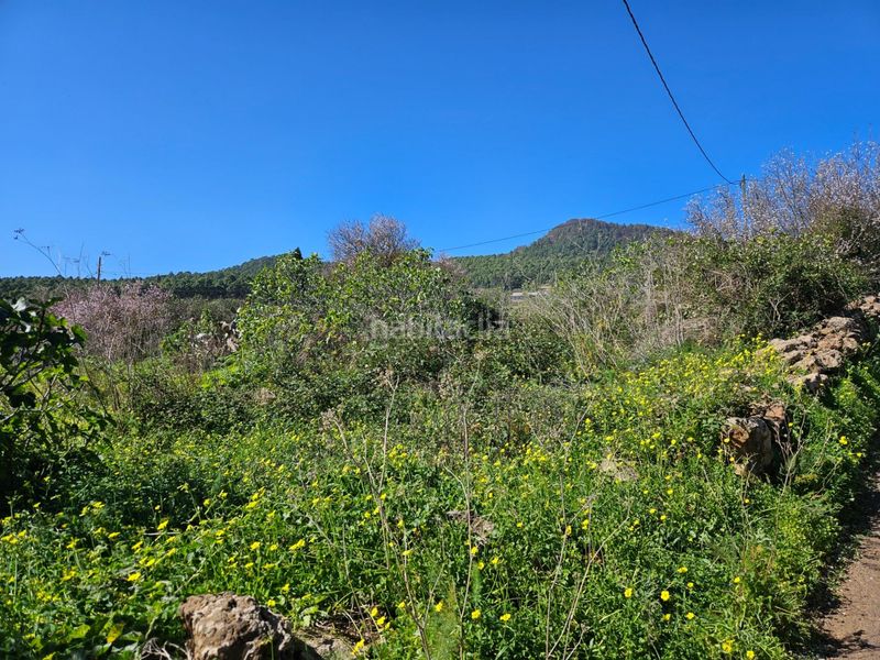 Foto 156a7afd-a184-4e12-ac58-0e535a111673. Terreny residencial a La Esperanza - Llano del Moro Rosario (El)