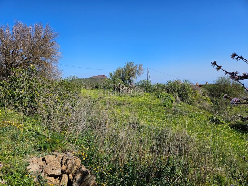 Foto d01cffa2-6661-48de-bef4-19d0fadaedaa. Terreny residencial a La Esperanza - Llano del Moro Rosario (El)