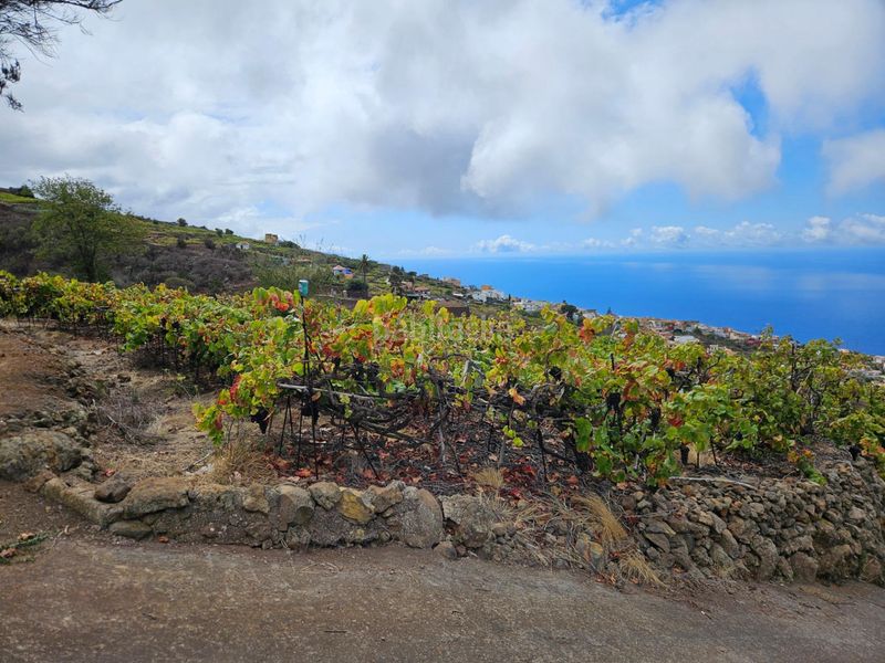 Foto bca7d2e9-f471-4cbb-a041-caf3bb3c06bd. Terreny residencial a La Corujera Santa Úrsula