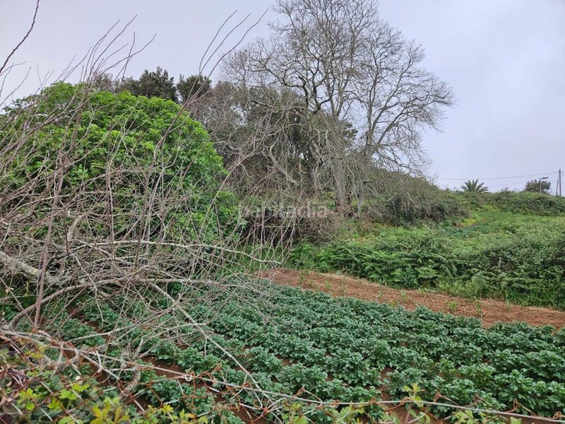 Foto dc5fb281-9e39-4ba2-853b-bdca0883ed16. Finca rústica a Sauzal (El)