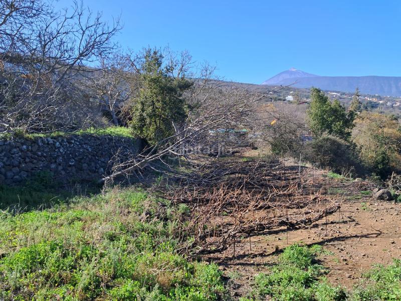 Foto e680be5a-9f09-4907-87af-39c261e6d632. Casa con parcheggio in La Perdoma - San Antonio - Benijos Orotava (La)