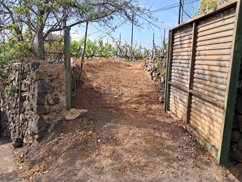 Foto 590c3a20-2aed-45a0-b4e8-42299837d766. Finca rústica a Victoria de Acentejo (La)