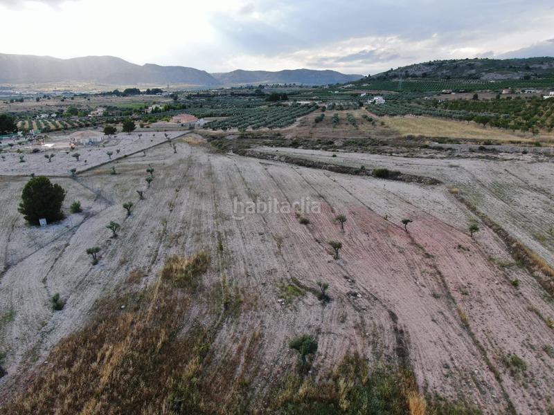 Foto 777a2937-050e-45eb-a39b-077b2fbc4a4f. Terreny residencial a calle rambla 16 a Salinas