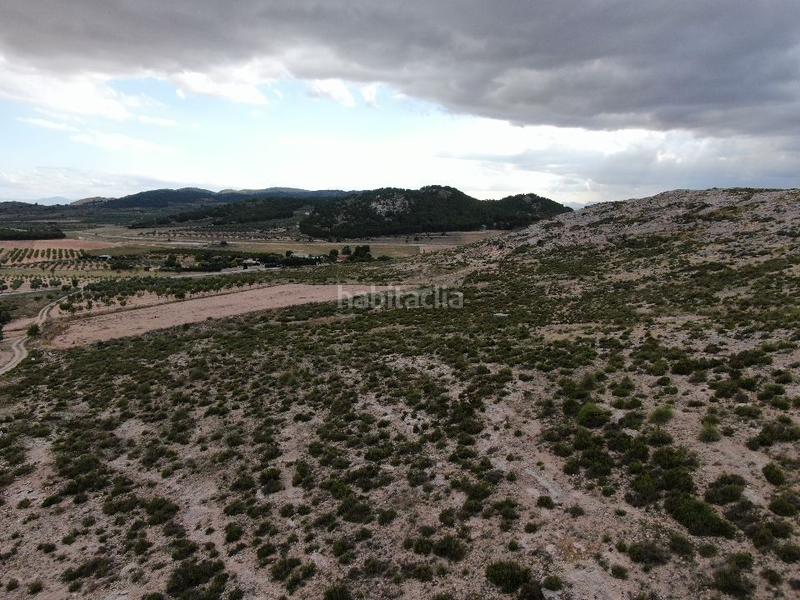 Foto a1e36e77-0b3a-4726-8dae-9b9296fbcde4. Fondo rustico in Cañada