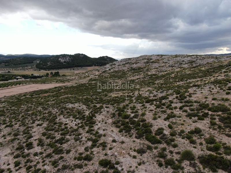 Foto a57a7764-5efc-4f65-89ef-218e7ac58c3c. Fondo rustico in Cañada