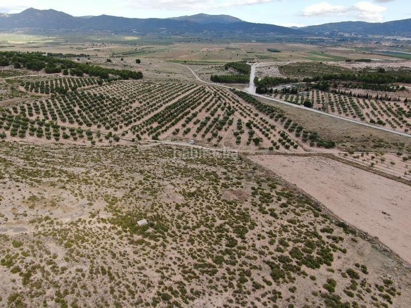 Foto f8dbac1e-cf53-4b42-9b9c-881e76724ed4. Fondo rustico in Cañada