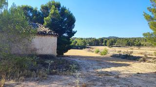 Finca rstica en Partida penyetes 37. Gran terreno con vivienda casa de campo