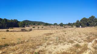 Finca rústica a Partida penyetes 37. Terreno rústico en monovar para construir