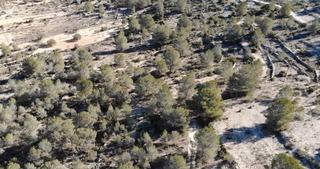 Finca rstica en Monver. Parcela rstica en monovar (alicante)