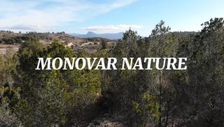 Finca rústica a Monòver. Terreno para construir en monovar