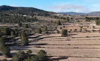 Finca rústica a N/a. Parcela en monóvar: tu hogar ideal en la naturaleza