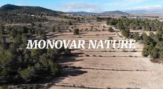 Finca rústica a Cv-83 3c. Tu hogar en monovar: parcelas rústicas de campo
