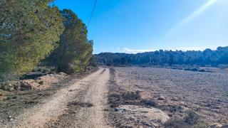 Finca rústica a Cv-83 3c. Gran terreno rústico junto a cv83 monovar, alicante