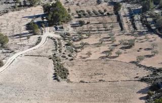 Masia en Cv-83 3c. Casa de campo con gran terreno (monovar)