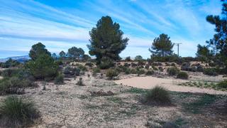 Finca rústica a Cv-83 3c. Terreno 19.000 metros en monovar (alicante)