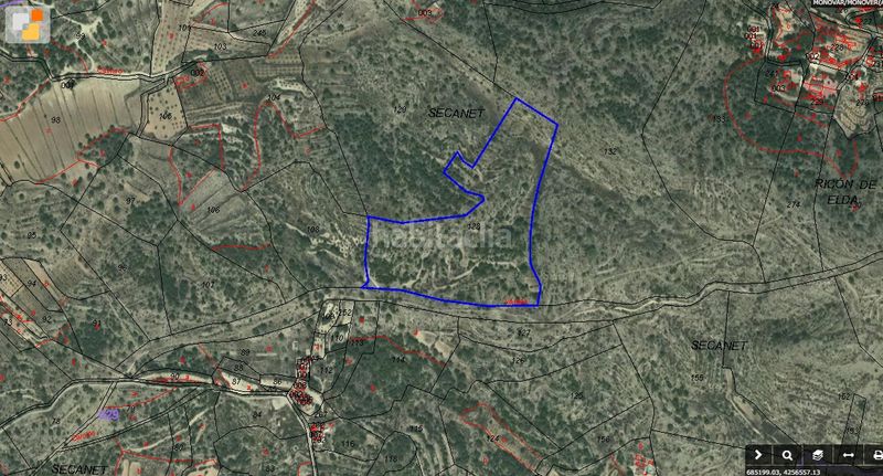 Foto 0be327b6-d83b-4353-b9c9-3623aeb85ec5. Finca rústica a partida bellongues 4 a Monòver