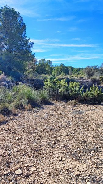 Foto 5c1a4479-7804-4703-b050-1b757359080a. Finca rústica terreno con posibilidad de construir en monovar en Monòver