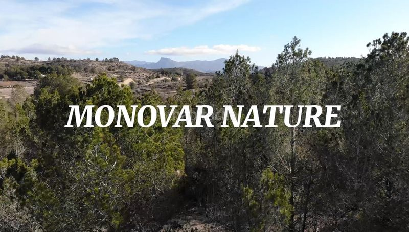 Foto e0cc0177-e14d-4740-84da-09101eafbbf4. Finca rústica terreno con posibilidad de construir en monovar en Monòver