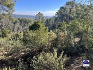 Terrain résidentiel  Carrer de banyoles. Se vende terreno semi plano en castellnou
