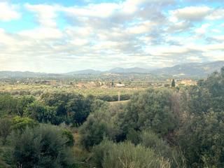Terreny residencial a Campanet. Solar urbano con vistas a la serra de tramuntana