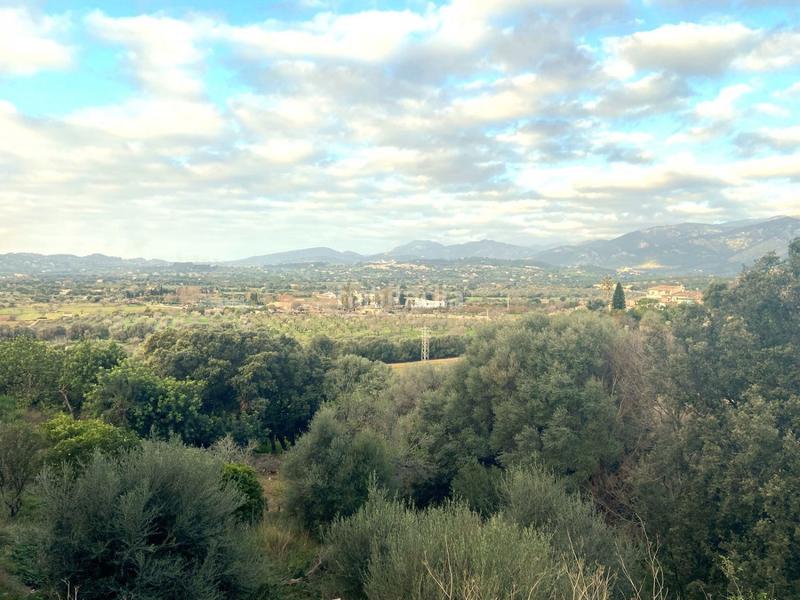 Foto 8d2c7e27-bc6d-422c-9d8b-9bb688570b51. Terreny residencial a Campanet