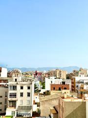 Apartment  Guillem forteza. Amplio piso en venta con inquilino