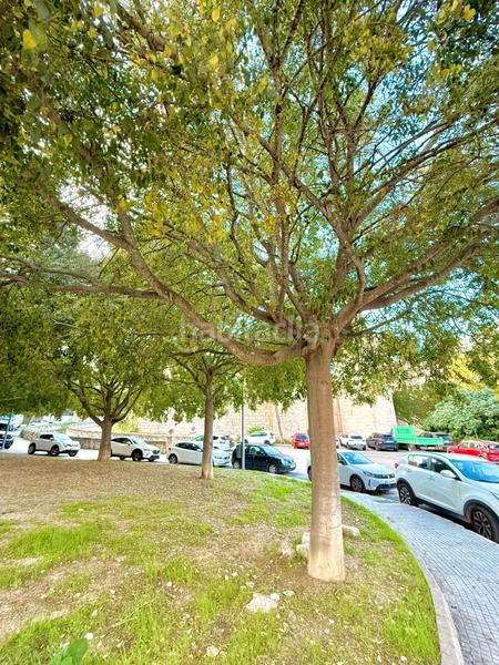 Foto aca54954-4dee-4b18-ac2b-e4c0f7a7bafb. Apartamento en Son Espanyolet Palma de Mallorca