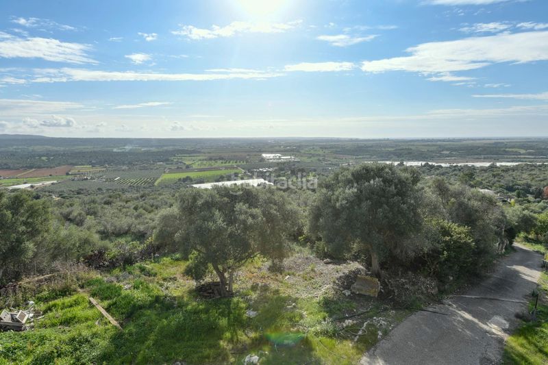 Foto 5a704b77-b248-43ec-abd6-3968bb9f5391. Masía en Pòrtol Marratxí