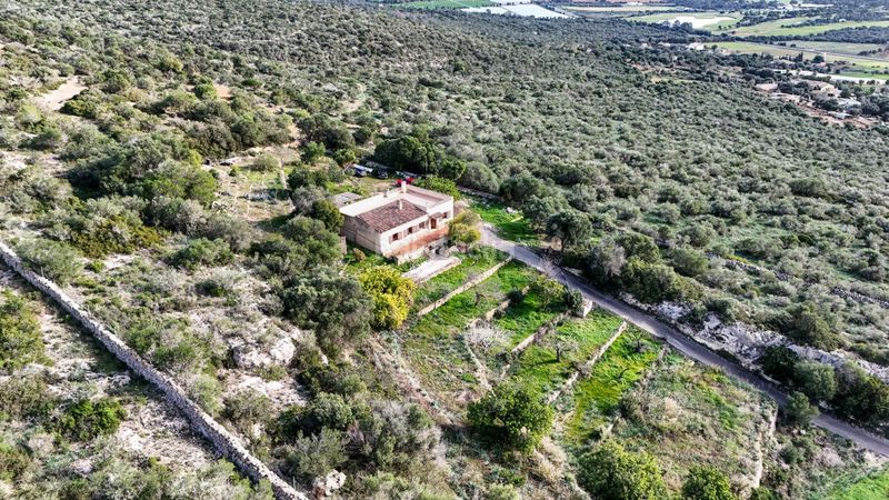 Foto 5ee8f072-db44-47c9-802a-9436f657c3a0. Masía en Pòrtol Marratxí