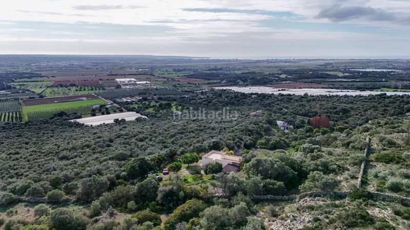 Foto fa3f9166-058f-481f-b3bf-d955a8076bf0. Masía en Pòrtol Marratxí