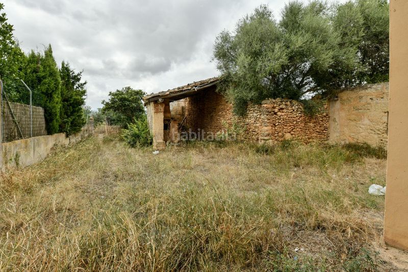 Foto 02960e90-46a1-4121-b34e-208206535469. Planta baixa amb aparcament a Sencelles