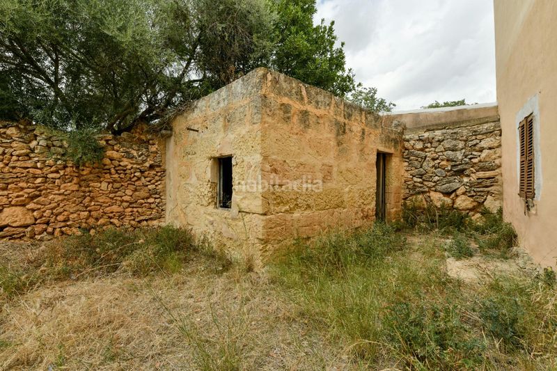Foto 2022418d-a528-4efe-93c7-7ec7c4ba6f1c. Planta baixa amb aparcament a Sencelles