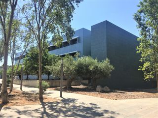Location Bureau à Carrer rita levi 3. Exclusiva oficina en alquiler situada en el parque tecnológico p