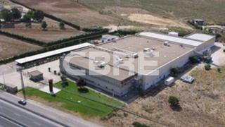 Miete Fabrikhalle in Calle camelias 9. Nave industrial de 8.813 m² sobre una parcela de 19.305 m², ubic