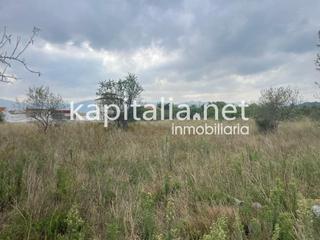 Terreny residencial a Alcúdia de Crespins (l´). Suelo urbanizable en lalcudia de crespins