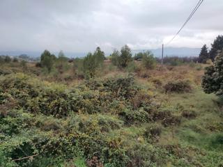 Finca rústica a El Llombo. Terreno para huerta a la venta ubicado en el llombo.