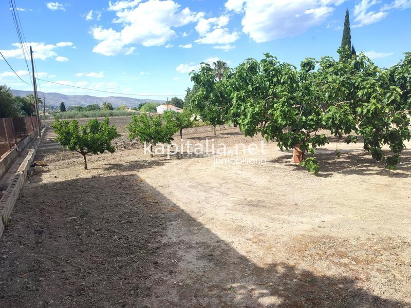 Foto 415b3457-1404-463b-97da-153138be7aa2. Rural plot in El Llombo Ontinyent